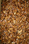 Fancy Jumbo Halves - Commercial quality USDA Fancy Western Halves.  Count 301- 350 halves per pound.  Westerns are considered to be the premier commercial pecan. Sold in thirty pound Vac- packed cases.  