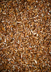 Fancy Extra Large Pieces - Commercial quality USDA Fancy Western Pieces.  Please see USDA Pecan Standards under 
